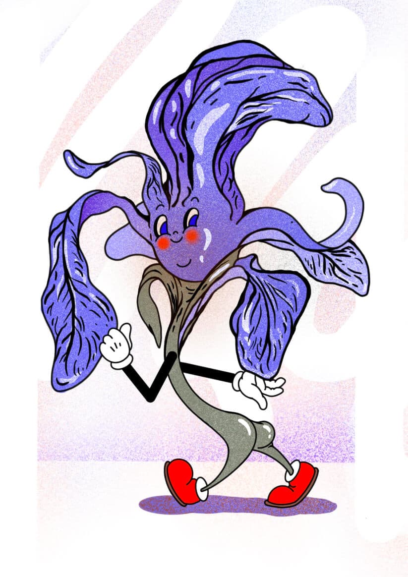 16